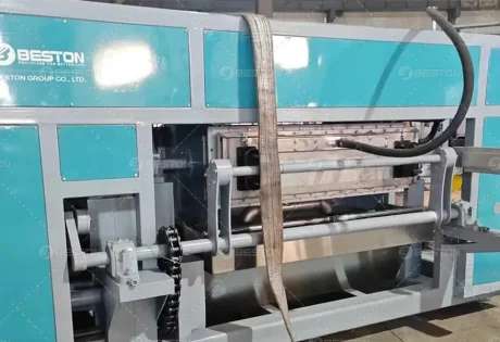 BTF4-4 Egg Tray Project in Russia