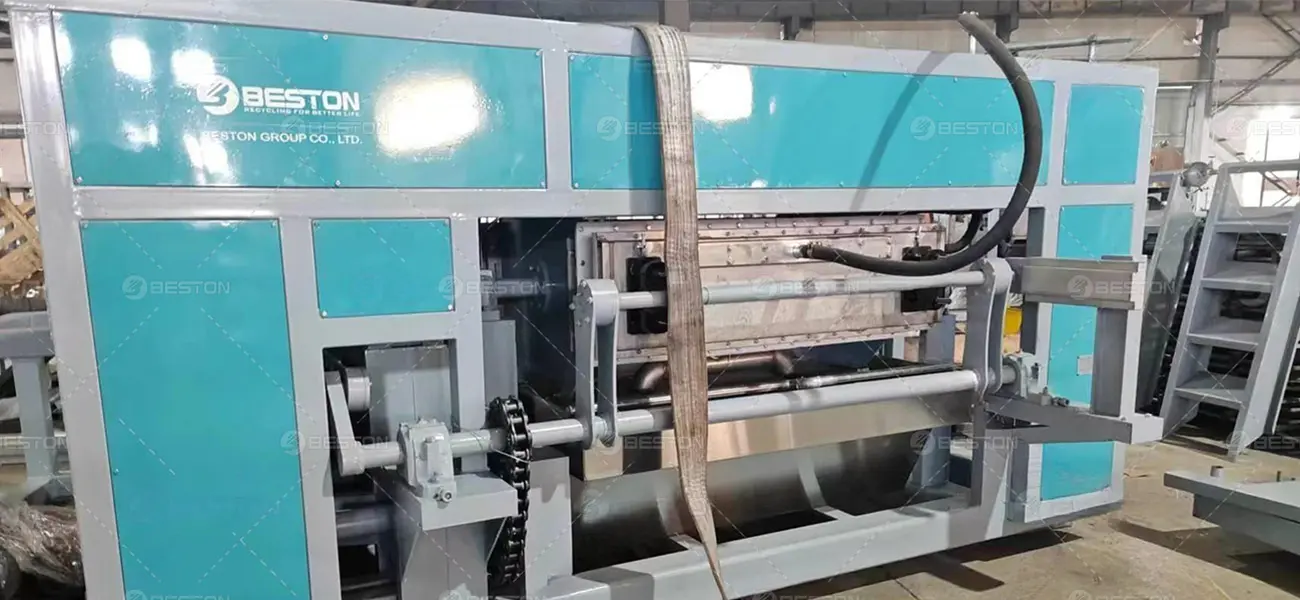 BTF4-4 Egg Tray Project in Russia