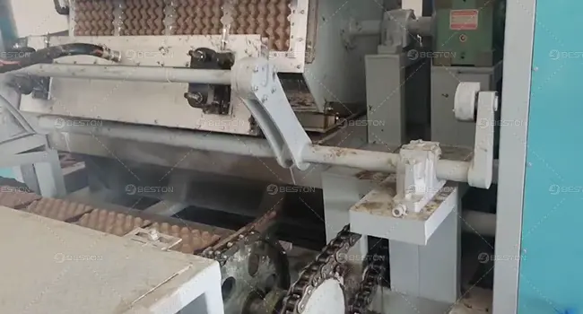 BTF4-4 Model Egg Tray Machine in Cambodia