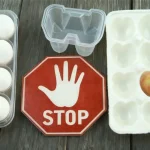 Paper Pulp Industry Under Plastic Ban Policies