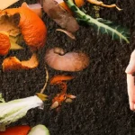 What is Biodegradability