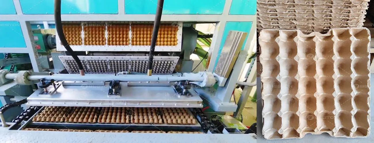 BTF5-8 with Egg Trays