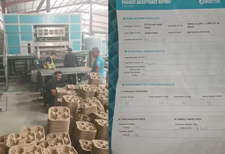 Clients Feedback on BTF4-8 Egg Tray Machine Project