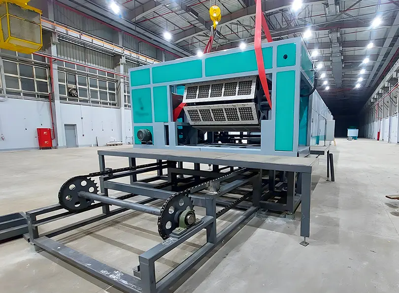 Egypt BTF5-8 Egg Tray Machine with Metal Dryer