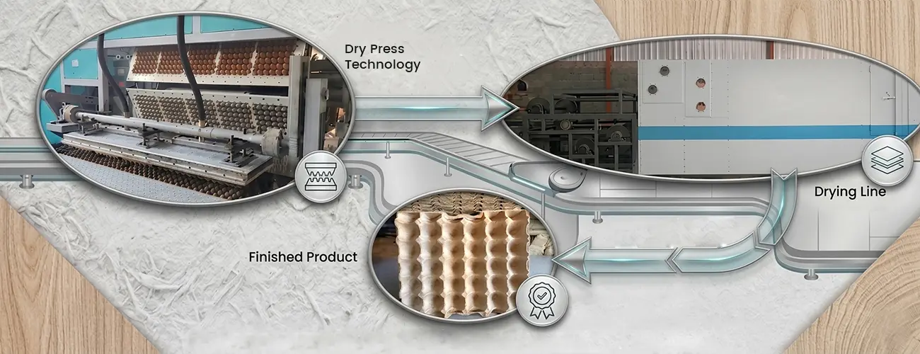 Dry Press Technology for Egg Tray Production