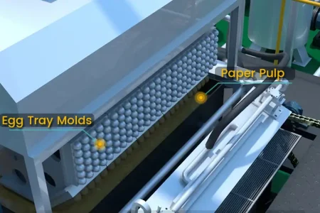 Egg Trays Production with Molds