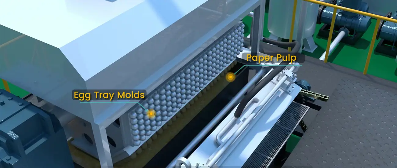 Egg Trays Production with Molds