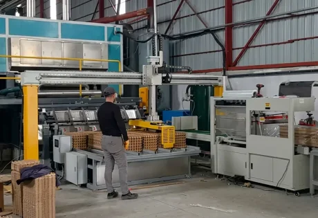 BTF6-8 Egg Tray Machine in Turkey