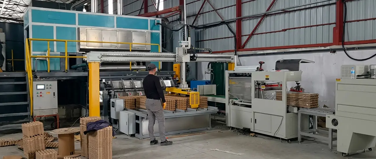 BTF6-8 Egg Tray Machine in Turkey
