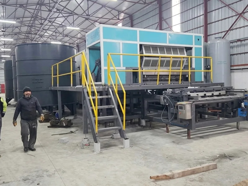 Completion of BTF6-8 Egg Tray Machine Installation