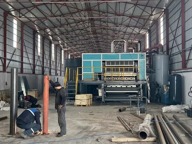 Installation Site of BTF6-8 Egg Tray Making Machine