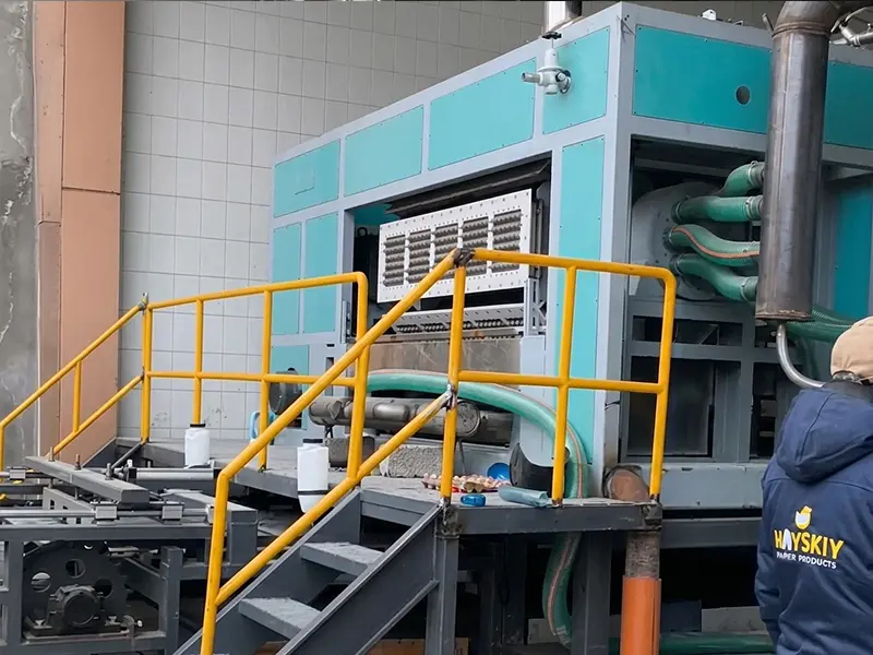 BTF5-8 Egg Tray Machine Project in Uzbekistan