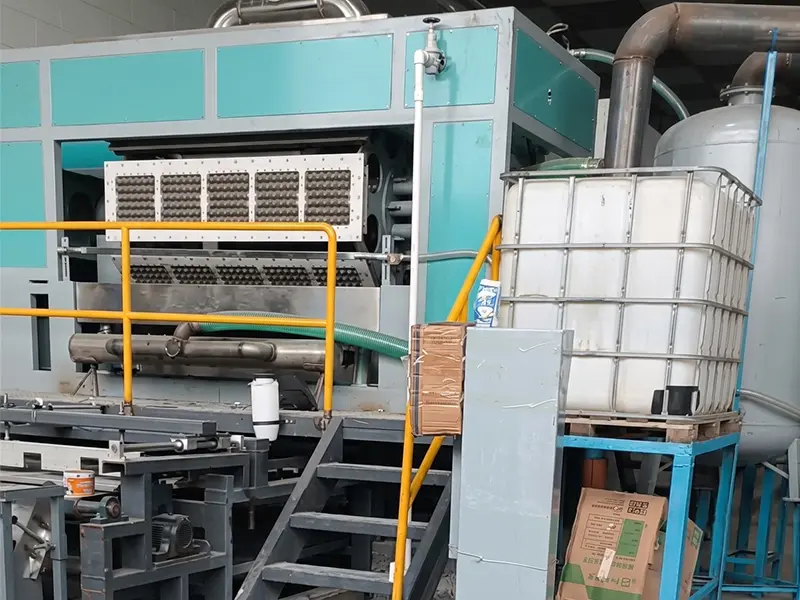 Complete BTF5-8 Egg Tray Making Machine Installation in Uzbekistan