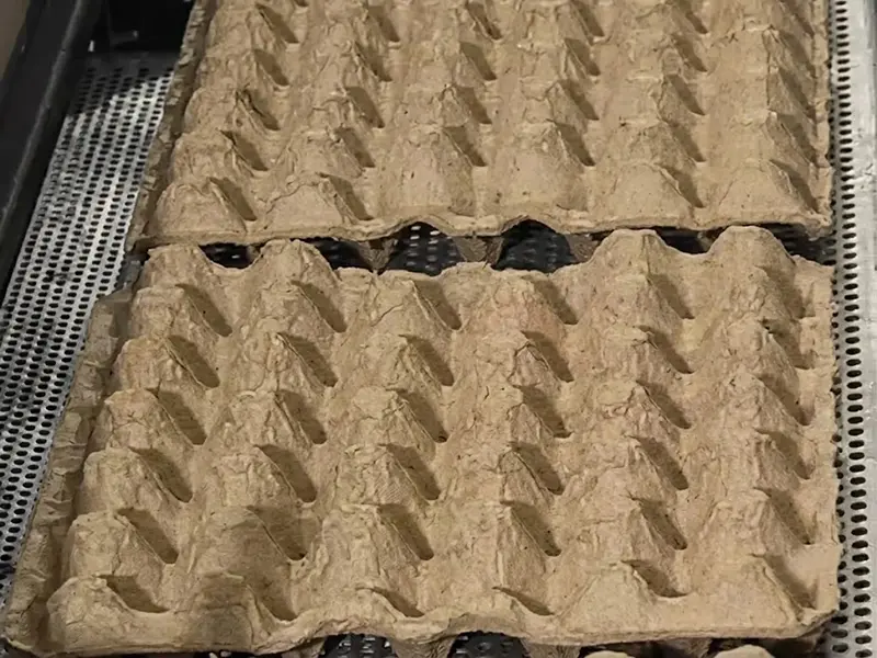 Paper 30-Egg Trays Made by Egg Tray Equipment