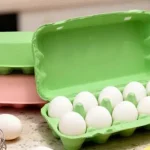 Egg Tray Made from Paper