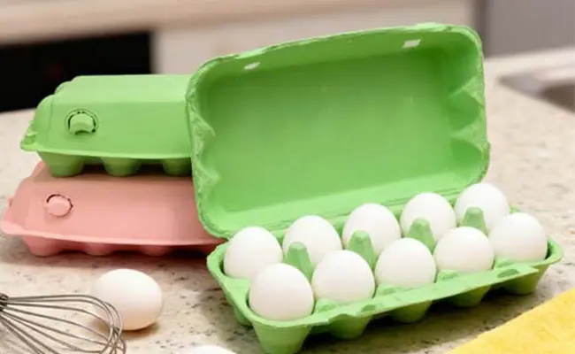 Egg Tray Made from Paper